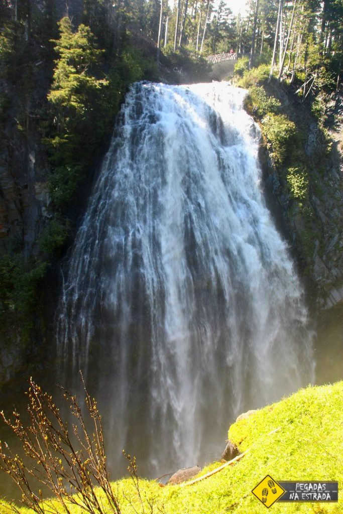 Narada Falls Mout Rainier