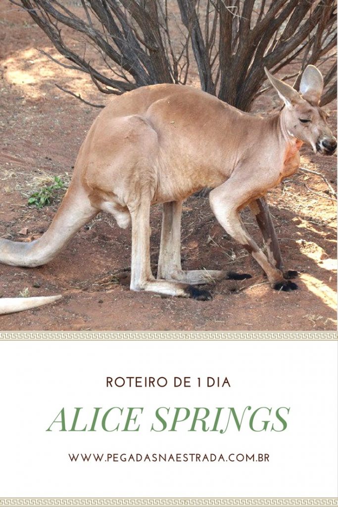 Conheça Alice Springs, a porta de entrada para as paisagens incríveis do Outback Australiano.