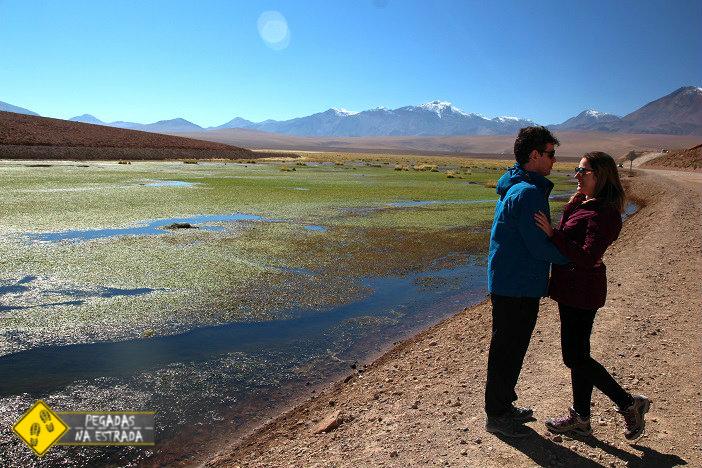  Bofedal Putana Deserto de Atacama
