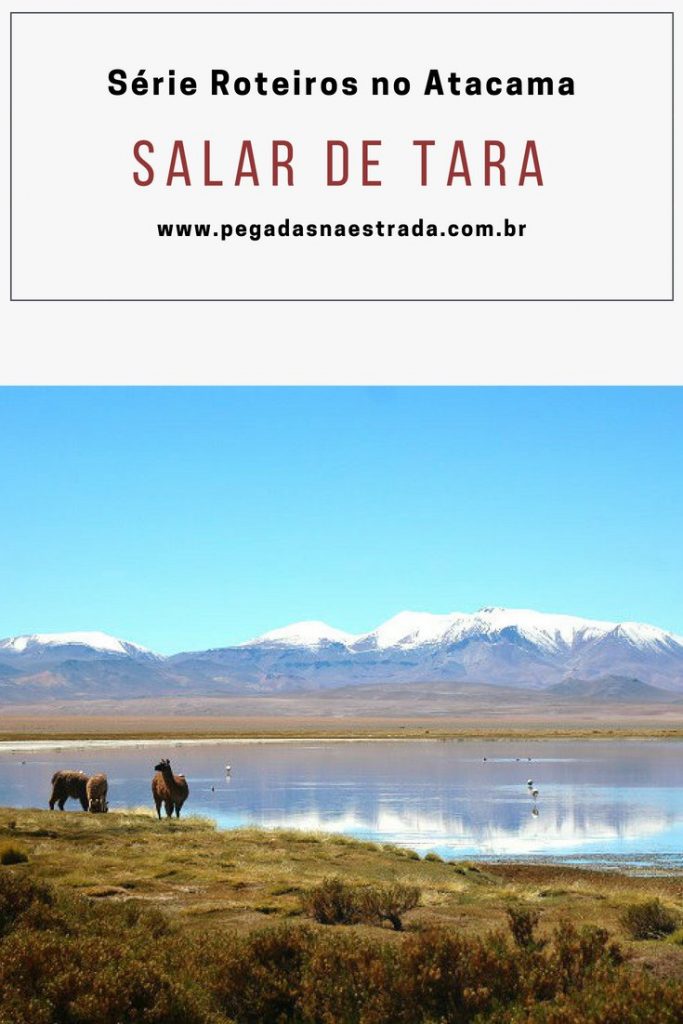 O Salar de Tara é um dos passeios mais incríveis do Deserto de Atacama e está localizado a uma altitude de cerca de 4.400 metros. No post de hoje, conheça todas as atrações desse passeio, como chegar e onde se hospedar. Este post faz parte da série: Roteiros no Atacama. 